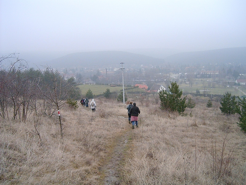 20100220 093.jpg